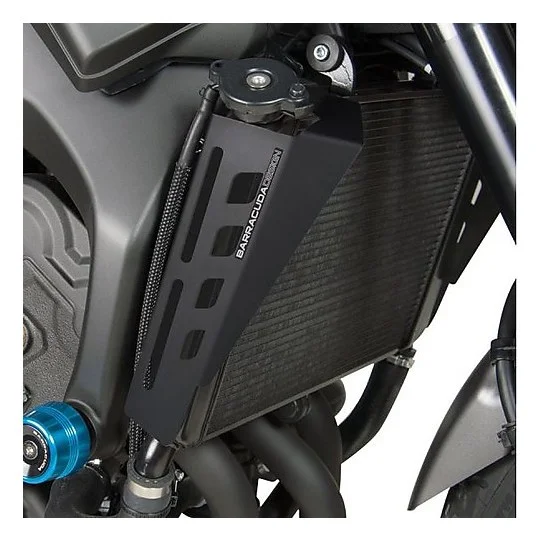 Convigliatori d'Aria in Alluminio Barracuda Specifico per Yamaha XSR900 Soddisfatti O Rimborsati