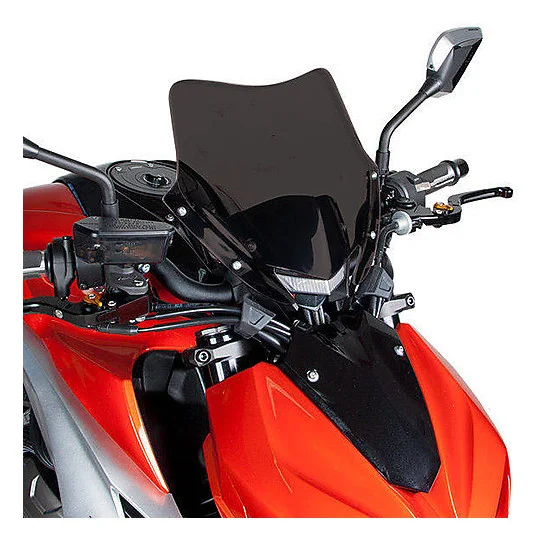 Soddisfatti O Rimborsati Cupolino Aerosport Barracuda Specifico per Kawasaki Z1000 (2014-19)