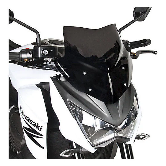 Vendita Finale Barracuda Aerosport Screening Specific for Kawasaki Z800 (2013-17)