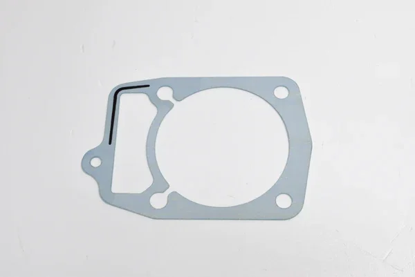 Direttamente Dal Produttore 495021 - GUARNIZIONE BASE CILINDRO PIAGGIO HEXAGON GT-GTX