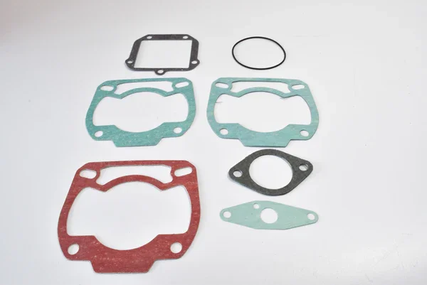 2090322 - SERIE GUAR. MOTORE ROTAX 123 (APRILIA 12 Scelto Dai Clienti