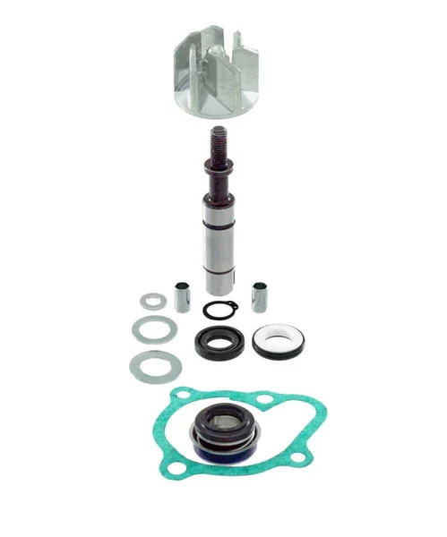 100110490 - KIT REVISIONE POMPA ACQUA GTI 200-300 - DOWNTOWN 200-300 Prezzo Basso