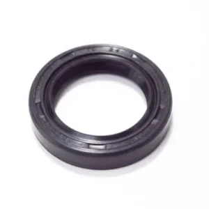 00860 - PARAOLIO 17X32X7 RP Non Perdere