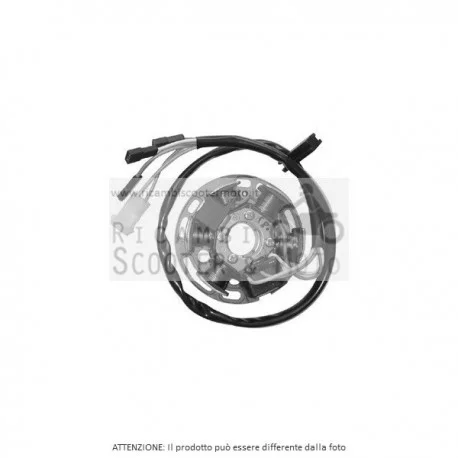 Offerta Lampo Statore Completo Gilera Rcr 50 06/07
