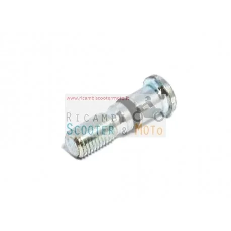 Tappo Foro Perno Ceppi Freno Malaguti Madison 125 150 Phantom Max 125 Offerta Del Giorno