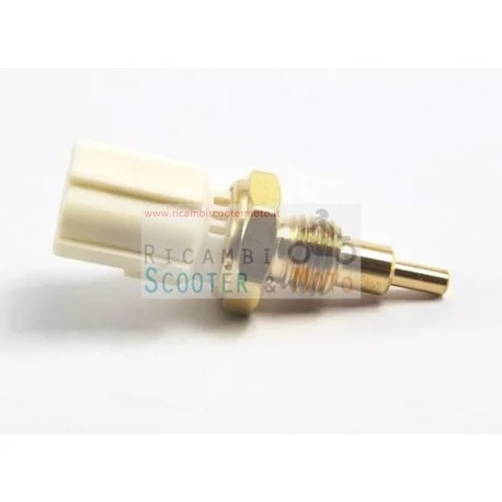 Sonda Temperatura Acqua 5Ms Originale Malaguti Password 250 E3 07/08 Acquista Ora