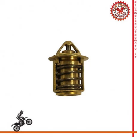 Ultima Occasione Termostato Acqua Piaggio Nrg 50 Purejet 02-04