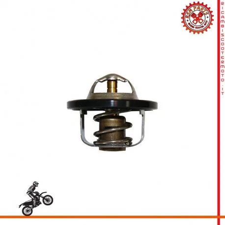 Compra Oggi Stesso Termostato Acqua Yamaha Xp T-Max 500 01-03