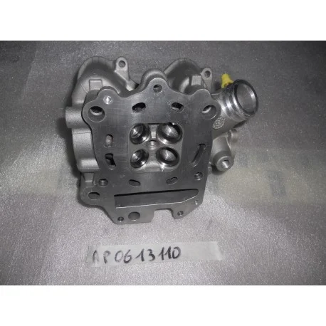 Occasione Testa Nuda Originale Aprilia Motore Rotax 125