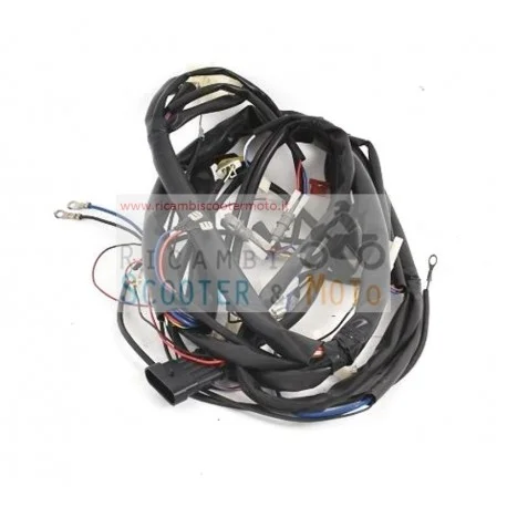 Cablaggio Centrale Originale Malaguti Ciak 50 Master 04 / Mono E2-23 03 Offerta
