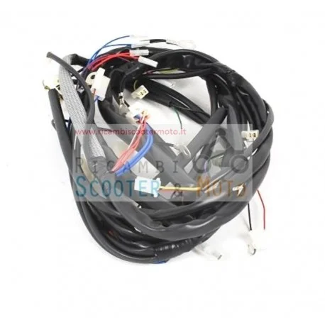 Cablaggio Centrale Originale Malaguti F 10 Restyling E2 02/03 Offerta Lampo