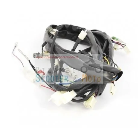Cablaggio Centrale Originale Malaguti F 12 Phantom Lc Restyling E1 01/02 Direttamente Dal Produttore