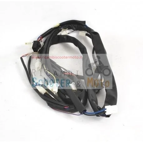 Cablaggio Centrale Originale Malaguti F 12 Phantom Restyling E1 01/02 Promo Stagionale