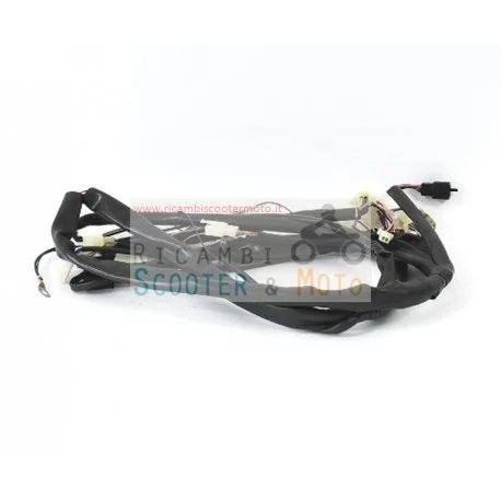 Cablaggio Centrale Originale Malaguti F 12 Phantom Restyling E2 02 Offerta Speciale