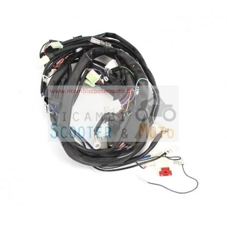 Promozione Cablaggio Centrale Originale Malaguti F 15 Fire Fox E2 /E2-23 (Digitale)