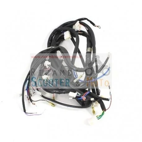 Cablaggio Centrale Originale Malaguti F 18 Warrior 125 150 Promo Stagionale