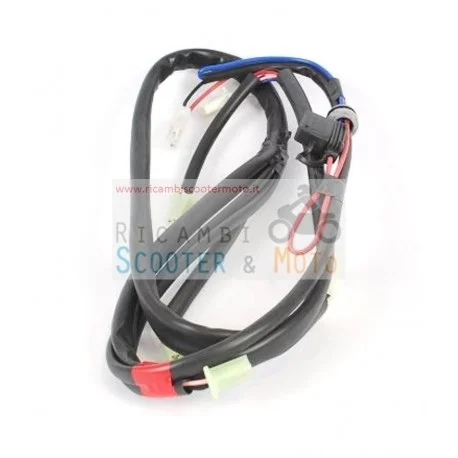 Cablaggio Fanali Posteriori (I072) Originale Malaguti Spider Max 500 Ultime Pezzi