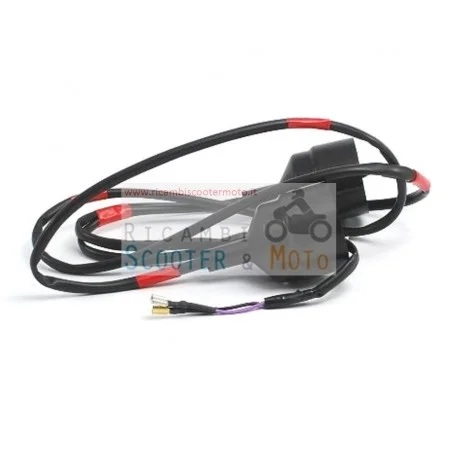 Cablaggio Frecce Anteriori Originale Malaguti Centro 50 4T 125 160 Compra Online