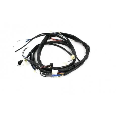Cablaggio Impianto Centrale Originale Malaguti F12 Lc Ultima Occasione