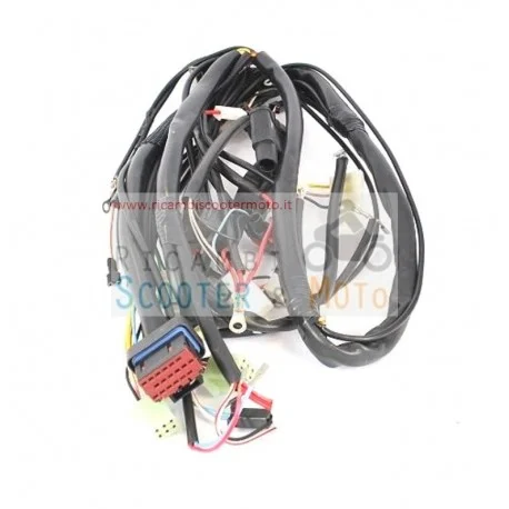 Cablaggio principale con connettore stagno Malaguti Drakon 50 CNK 05/07 Più Venduto
