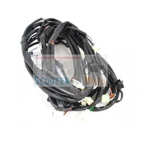 Cablaggio Principale Con Interruttore Stop Malaguti Phantom Max 125 Compra Online