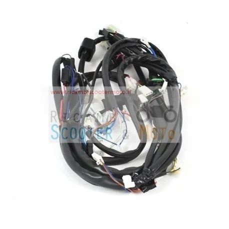 Cablaggio Principale Con Interruttore Stop Malaguti Phantom Max 200 03 Offerta Limitata