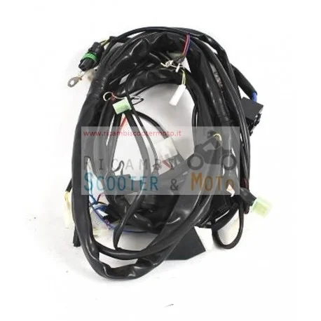 Promo Stagionale Cablaggio Principale Con Interruttore Stop Malaguti Phantom Max 250