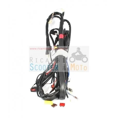 Cablaggio Principale Originale Malaguti Ciak 50 Master 4T 05/06 Promozione Esclusiva