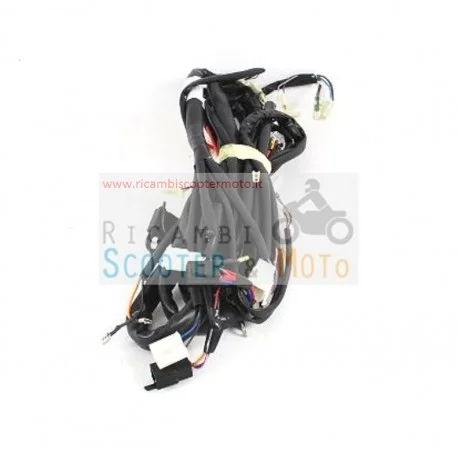 Offerta Del Giorno Cablaggio Principale Originale Malaguti F 10 Ac