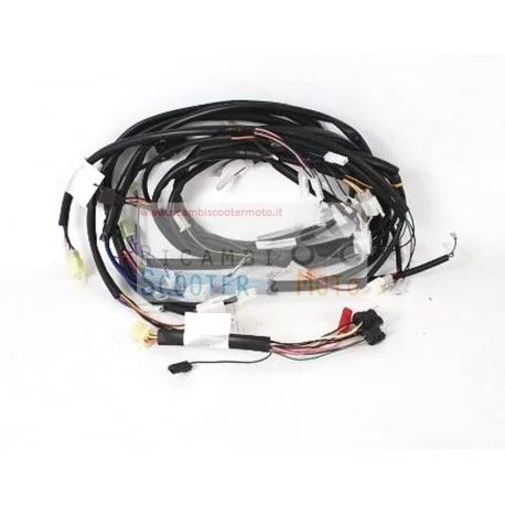 Prezzo Ridotto Cablaggio Principale Originale Malaguti F 10 Restyling E2 06