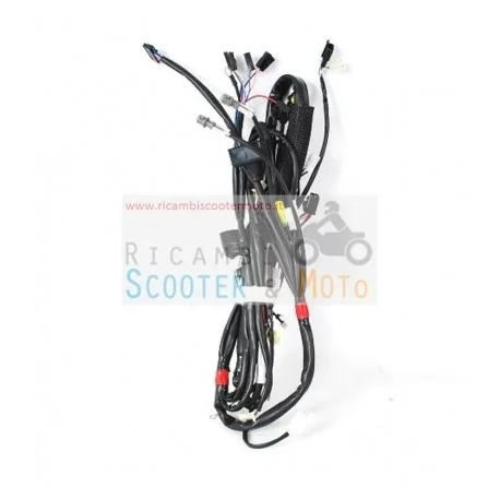 Cablaggio Principale Originale Malaguti F 12 R Phantom Lc 07/10 A Buon Prezzo