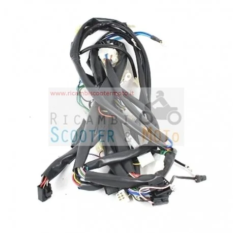 Cablaggio Principale Originale Malaguti Madison 125 R Restyling E2 03/04 Prezzo Ridotto