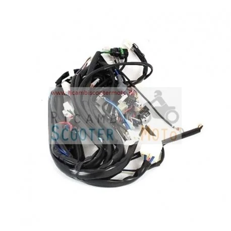 Cablaggio Principale Originale Malaguti Madison 180 R 01/02 Economico