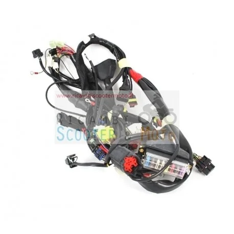 Cablaggio Principale Originale Malaguti Spider Max 500 Gt 04/05 Promozione