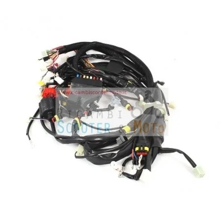 Promozione Esclusiva Cablaggio Principale Originale Malaguti Spider Max 500 Gt E3 06