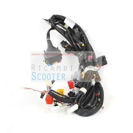 Cablaggio Principale Originale Malaguti Spider Max 500 Rs 08 Acquista Ora