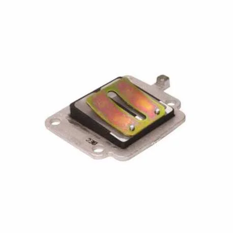 Promozione Valvola Lamellare Mbk Cw L Booster 50 2001-2003