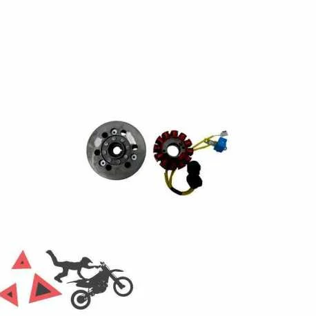Soddisfatti O Rimborsati Statore e Volano Completo per Aprilia/Piaggio 200 4T