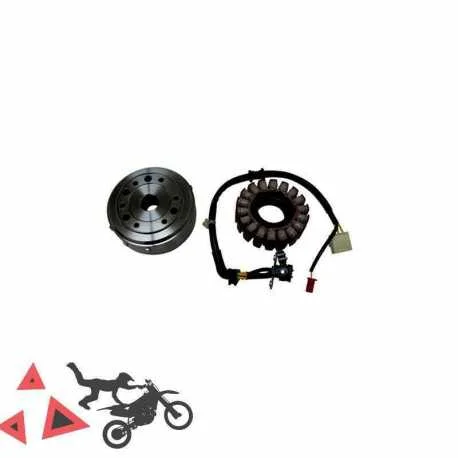 Volano con statore Denso Honda SH 300 2007 2010 Popolare