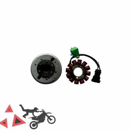Occasione Volano con statore Piaggio Fly Vespa LX Primavera S Sprint 50 4T 2008 2017