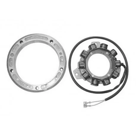Esclusivo Alternatore 12V/250W Lombardini Slanzi Hatz