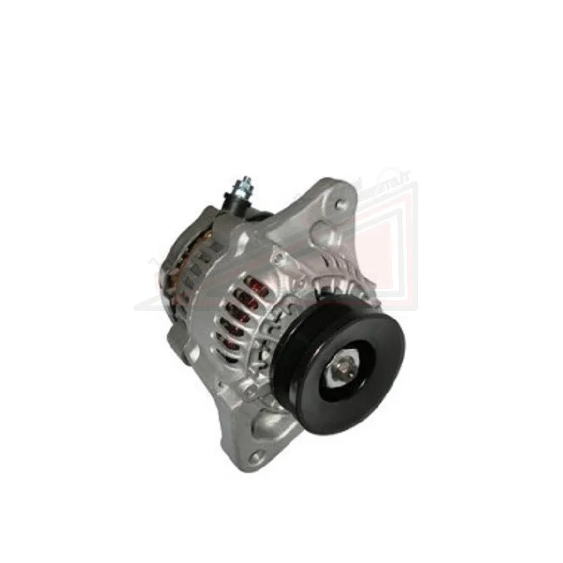Alternatore 12V 40 A Yanmar Bellier JDM Microcar Promozione