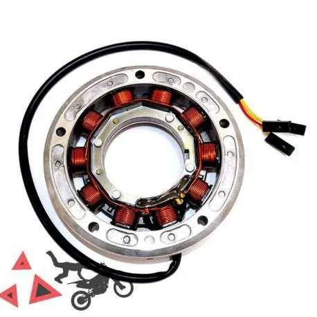 Alternatore Lombardini Motori Industriali12V/190W 10 Poli Prezzo Di Fabbrica