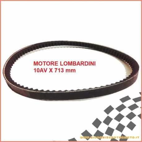 Esclusivo Cinghia servizi alternatore 10x713 LIGIER JS50 IXO XTOO S RS DUE'