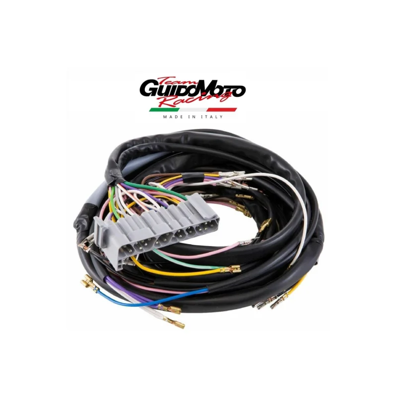 IMPIANTO ELETTRICO VESPA PK 50 FL 2 V AVVIAMENTO ELETTRICO PIAGGIO GMV0246 Promozione Esclusiva