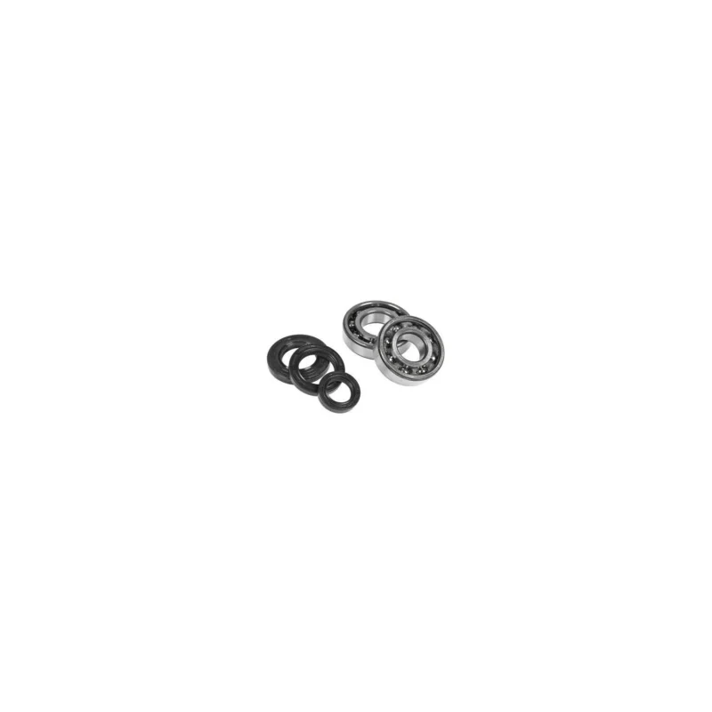 Offerta Lampo P400510444001 CUSCINETTI E PARAOLIO ALBERO MOTORE APRILIA HABANA ITALJET