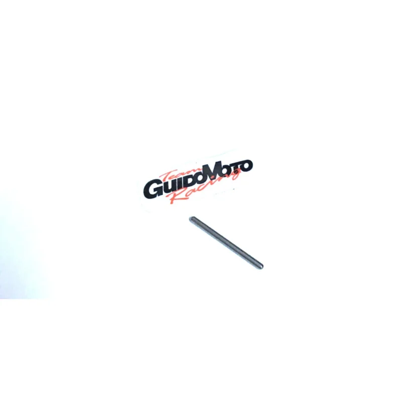 Scelto Dai Clienti PERNO GALLEGGIANTE CARBURATORE SI SHB SHBC DELLORTO 087730022