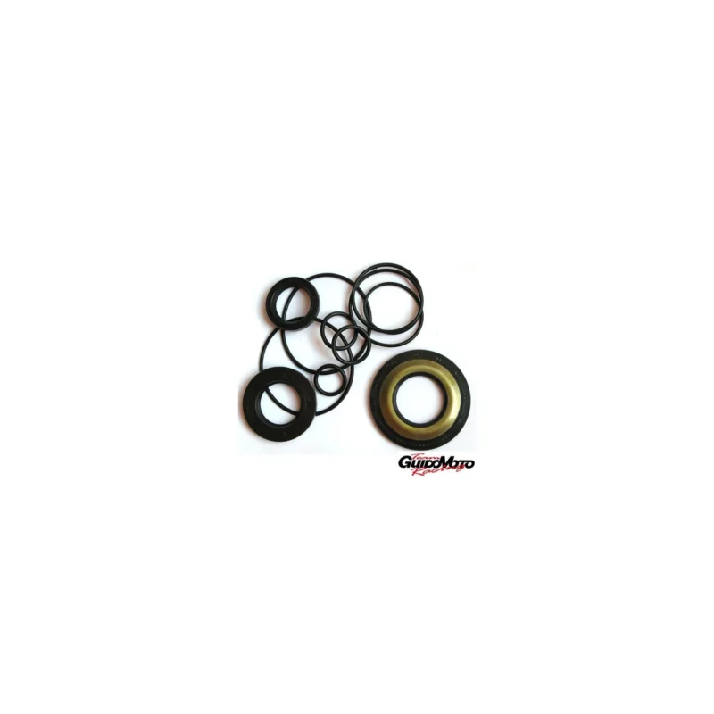 KIT PARAOLIO E O-RING MOTORE PIAGGIO VESPA PX FINO AL 1983 10877 Occasione