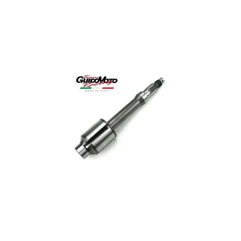 Ultimissimo Modello ALBERO CAMBIO RUOTA POSTERIORE VESPA PX ARCOBALENO PIAGGIO FA ITALIA FA27811