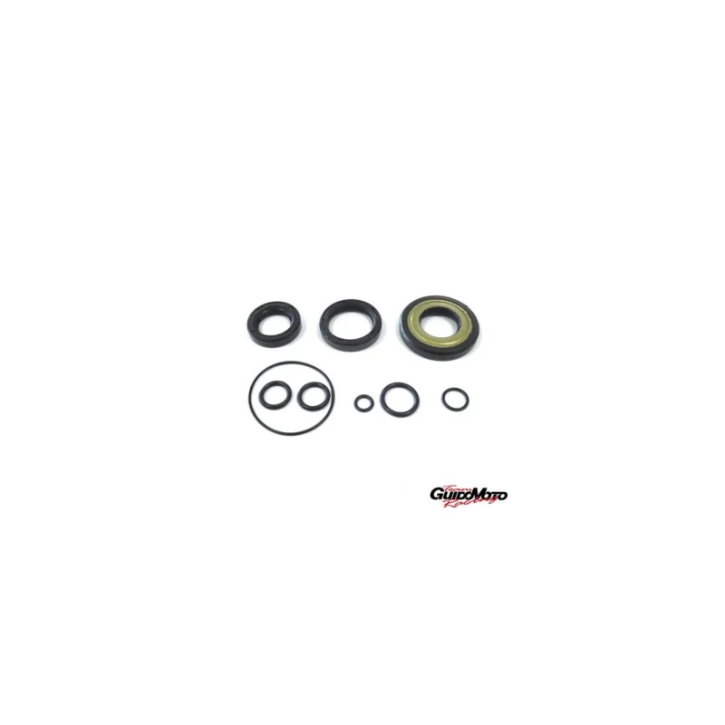 100640130 KIT PARAOLIO CON O-RING VESPA PK 50 C.C. CONO 20 PIAGGIO Occasione